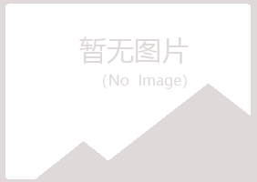 泰和县夜山能源有限公司